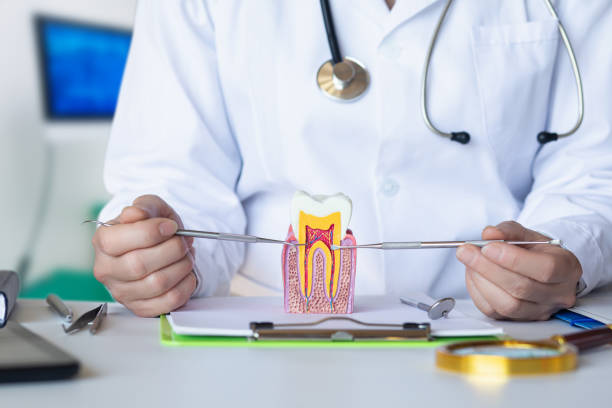Best Emergency Gum Treatment in Loves Park, IL